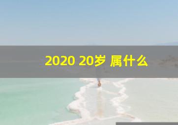 2020 20岁 属什么